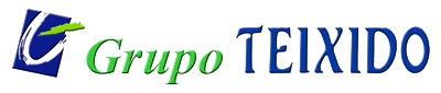 Grupo Teixido