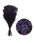 Pomo Broom 100gr 50cm Morado